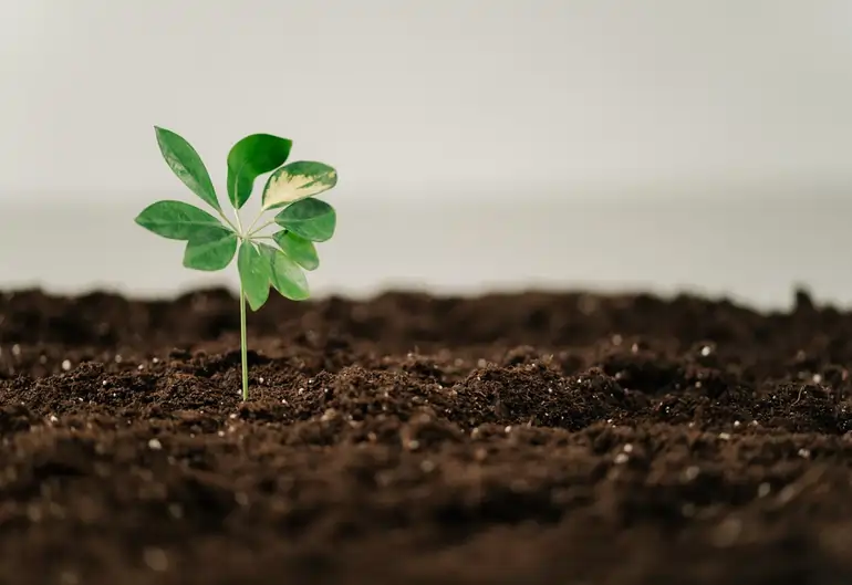 Sustainability Policy